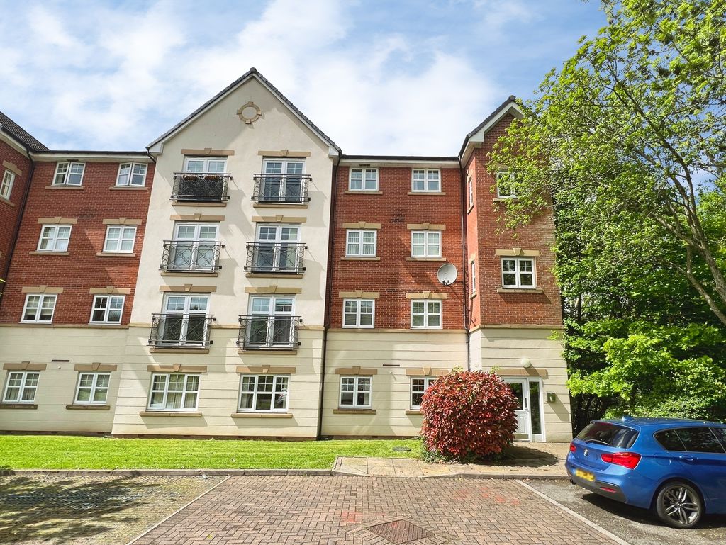 Main Image